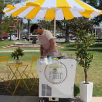 Gerobak Gelato E-Power 2 Silinder Laris Manis, Gerobak Gelato Komersial Mobile EV, Produksi Langsung dari Pabrik, Lengkap Sekaligus