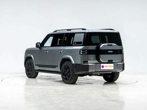 Nuevo y Económico Vehículo Eléctrico Chino Equation Leopard Titanium 7 - Product Image 5