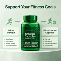 Capsules de créatine monohydrate pour adultes, renforcement musculaire et amélioration des performances, récupération, compléments sportifs
