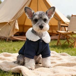 Ropa para Mascotas PETCIRCLE, Sudadera Cálida y Cómoda para Perros Pequeños y Cachorros, Diseño de Diablito, Otoño/Invierno - Product Image 4