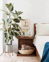 Rak Tanaman Kayu Modern Ramah Lingkungan Houselin Mid Century yang Dapat Disesuaikan, dengan Finishing Pernis dan Rak Penanam