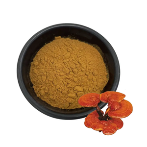 Extracto de Reishi de Suministro de Fábrica, 10%-50% de Polisacáridos, Extracto de <span class=keywords><strong>Ganoderma</strong></span> <span class=keywords><strong>Lucidum</strong></span>, Extracto de Hongo Reishi a Granel - Product Image 4