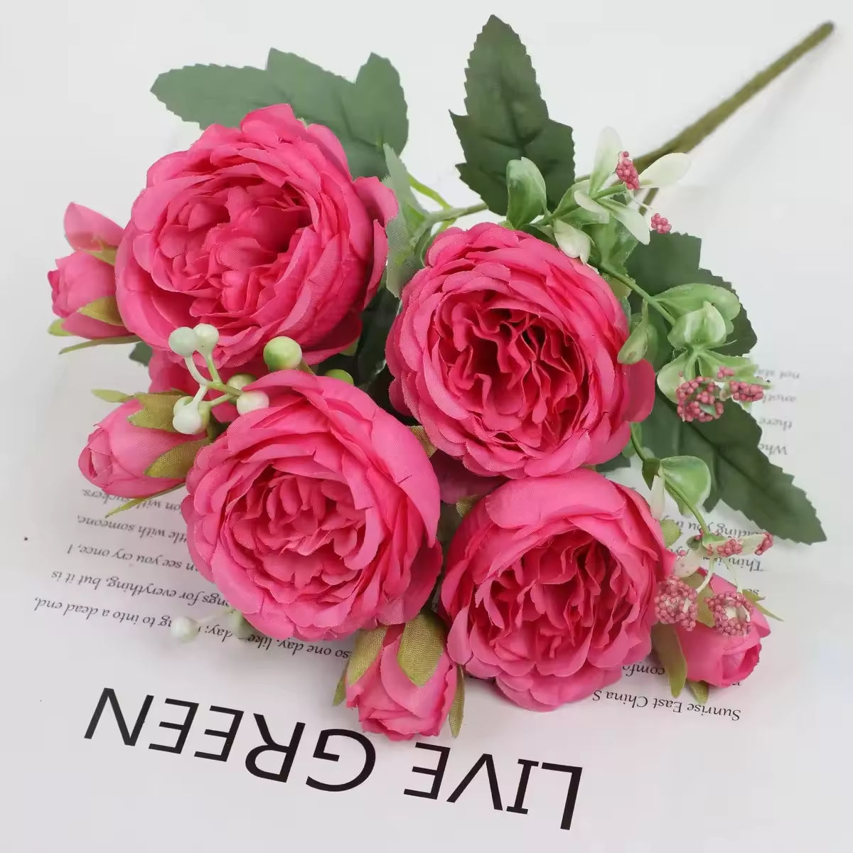 มณฑลเบอร์กันดี