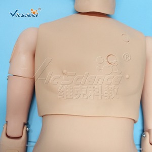 Maniquí combinado para práctica de enfermería masculina, cateterización intravenosa, modelo de enseñanza de primeros auxilios y RCP - Product Image 2