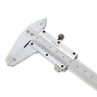 Wholesale Price Manual Reading Metric Standard Engineering Measuring Equipment Vernier Caliper