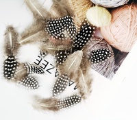 Großhandel Fliegen binden Körper Feder Flügel Schwanz Material Guineafowl Feder 5cm 12cm Länge Fliegen binden Material Fasanen federn