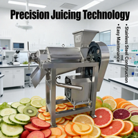 Presse-agrumes et mixeur de fruits et légumes motorisé en acier inoxydable 220V haute productivité pour bureau