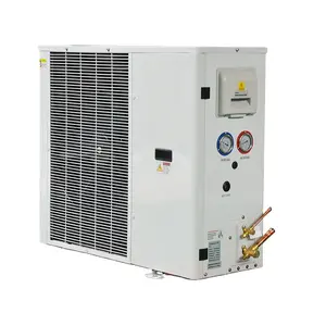 Energy Saving Solar Panel Power DC Inverter Outdoor L Type Refrigeration Condensing Unit For Cold Room
