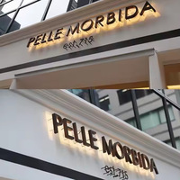 Bandes LED 3D personnalisées, lettres rétroéclairées, logo d'entreprise intérieur, publicité, enseigne lumineuse, étanche IP65, décoration de bâtiments