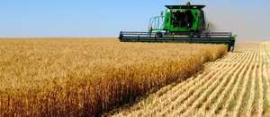 <b>FERTILIZING</b> and SPRAYING MACHINES the MANURE <b>SPREADER</b> GSM SERIES - Product Image 4