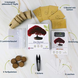 <span class=keywords><strong>Kit</strong></span> de <span class=keywords><strong>Cultivo</strong></span> de Bonsái OEM Xiamen, 5 Bonsáis Listos para Cultivar, Regalo de Jardinería y Decoración para Niños, para el Hogar, con Flores Artificiales - Product Image 2