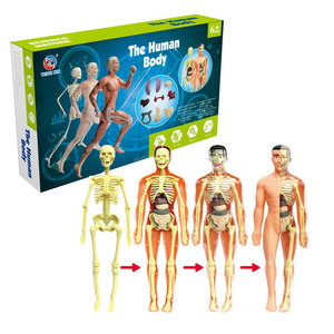 Modèle de corps humain amovible, modèle de squelette humain, vente en gros, kits scientifiques DIY pour enfants, jouets éducatifs, ressources pédagogiques - Product Image 1
