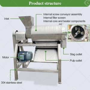 500kg Industrial Para Frutas Beating Paste Pulper Maquina Despulpadora De Uvas Litchi Pulp Machine - Product Image 4