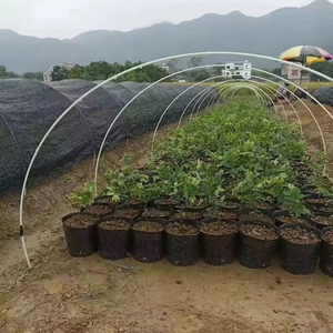 ग्रीनहाउस सुरंग फ्रेम ग्लास फाइबर रॉड उच्च शक्ति संयंत्र ढेर छोटे कृषि ग्रीनहाउस फ्राप - Product Image 1