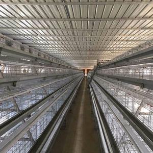 قفص دجاج بياض بنظام البطاريات من النوع A للبيع - Product Image 3