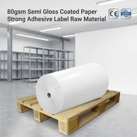Papier holographique Antac durable semi-brillant couché, OEM ODM, rouleau géant auto-adhésif personnalisé 1530mm 1070mm, professionnel
