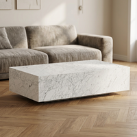 Tostone Table basse en marbre italien populaire Bianco Carrara Durable et élégante pour la vie moderne Salle à manger Hôtel Design d'intérieur