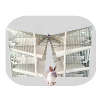 Matériel de cages à lapins fiable et bon marché Tréfilage à froid galvanisé pour lapins mâles et femelles Cage à lapins d'élevage