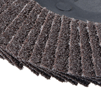 Disque à lamelles flexible incurvé de 4 pouces 100mm grain 80 60 meule abrasive en carbure de silicium pour le polissage des métaux Outil abrasif pour le verre