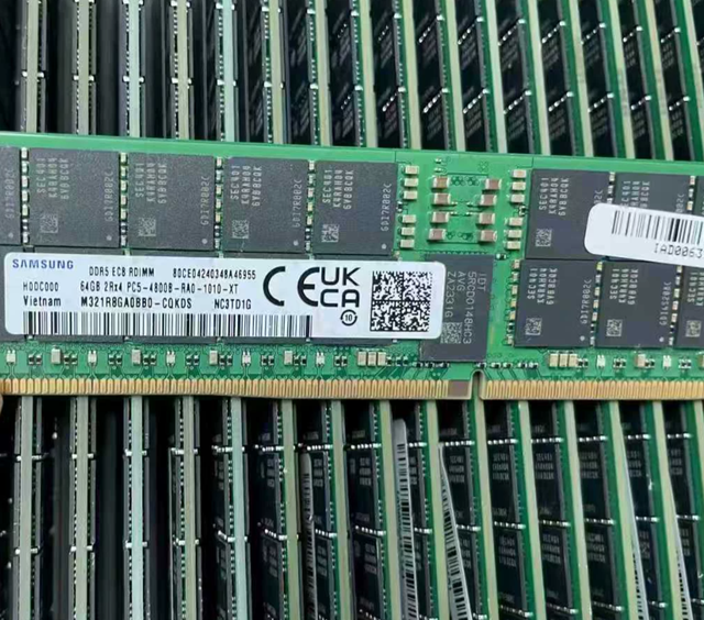 DZXT ECC RDIMM High Performance Server Memory RAM Registered DIMM for Workstation Data Center DDR5 4800 64G M321R8GA0BB0-CQK