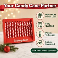 Holiday Sale Creative Christmas Candy 12-Piece 12g Glucose Gift Box Walking-Cane Lollipops High-Appeal Snacks for Kids