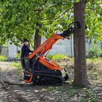 Chargeuse compacte sur chenilles tout-terrain à commande hydraulique pilotée XC1100, fonctionnement flexible, conforme EPA, avec accessoires de broyage