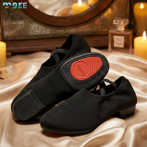 Chaussons de <span class=keywords><strong>danse</strong></span> <span class=keywords><strong>classique</strong></span> et de <span class=keywords><strong>danse</strong></span> du ventre SeeMore ODM/OEM pour femmes, à semelle souple et empeigne en maille, pour l'entraînement en extérieur des enseignantes adultes - Product Image 1