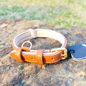 <span class=keywords><strong>Collar</strong></span> impermeable para mascotas a precio de fábrica, hebilla de aleación dorada, diseño de lujo para perros pequeños y grandes - Product Image 3