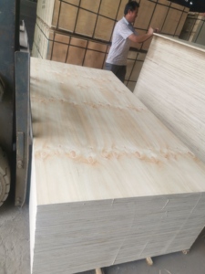 CDX Prix Inférieur 4X8 <span class=keywords><strong>Pin</strong></span> Extérieur Contreplaqué Plancher extérieur backplating plaque de bois 1220x2440 - Product Image 4