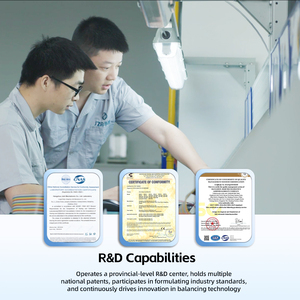 로터 범용 모터 전기자 밸런싱 및 시험기 수동 밸런싱 기계 - Product Image 4