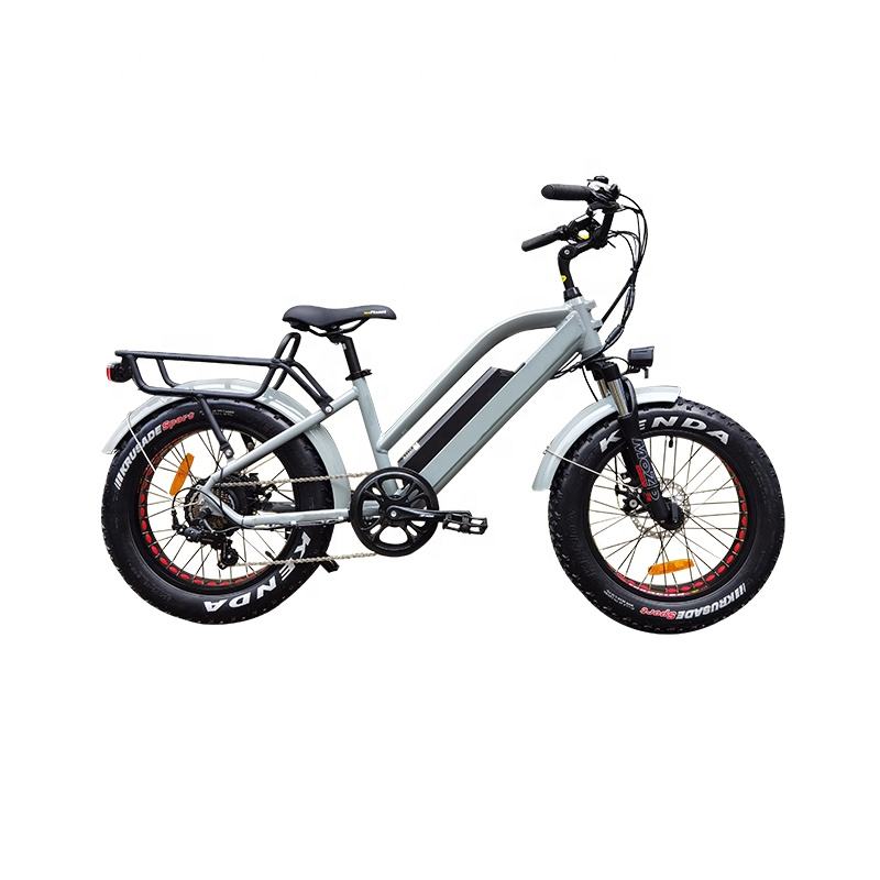 0胖轮胎复古电动自行车 on m.alibaba.com