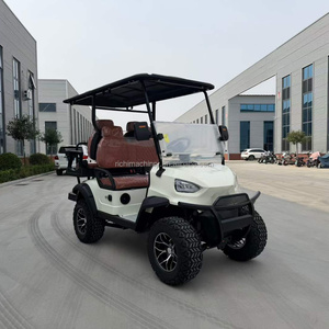 Vehículo Turístico Comercial Popular, Carro de Golf de Litio, Buggy de Golf para Hotel, Carro de Golf Clásico - Product Image 1