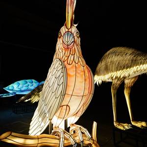 פנס סיני גדול בהתאמה אישית עם תאורה לאירועי תיור ליליים בחוץ ובפנים, קישוט תאורה בנושא חיות. - Product Image 1