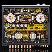 MABLE X11 6L6 Push 845 Sınıf A Vakum Tüplü Ev Tipi Amplifikatör Alüminyum 115V/230V