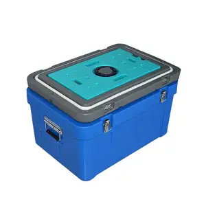 Incubateur Portable pour Camping en plein air, Mini compresseur de voyage, réfrigérateur de voiture