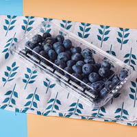 Boîte d'emballage de myrtilles 250g en PET recyclé, directement de l'usine, pour fruits frais, conteneur à clapet pour myrtilles