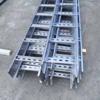Échelle à câbles pour la gestion de la ventilation des câbles dans les centres de données, légère, haute stabilité, prix de gros usine