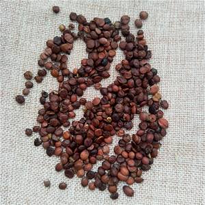 Suan zao ren toplu ot baharat kurutulmuş vahşi hünnap çekirdeği Spina Date tohumları satılık - Product Image 3