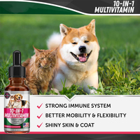 Vitamines pour animaux de compagnie 10 en 1, gouttes liquides naturelles de glucosamine pour chiens et chats, complément multivitaminé pour la santé de l'intestin, de l'immunité et des articulations des chiens