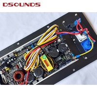 Module d'amplificateur actif 500W, module d'amplificateur professionnel de classe D, 2 voies pour caisson de basses et enceinte colonne avec DSP
