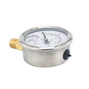 Manomètre à tube Bourdon à double anneau NPT 1/4'' transparent, à huile <span class=keywords><strong>de</strong></span> silicone, 0-30 psi, en promotion - Product Image 3