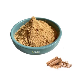 Extracto de Raíz de Bardana en Polvo de Alta Calidad, Precio de Mayoreo, Suministro de Fábrica Ciyuan - Product Image 1