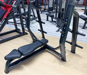 <span class=keywords><strong>Banc</strong></span> plat de musculation commercial en vente chaude avec cadre en acier inoxydable, machine d'exercice durable - TZ FITNESS TZ-X6023 - Product Image 2