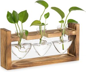 Modern Wooden Stand Transparent Glass <b>Vase</b> Creative Hydroponic <b>Small</b> Plant Desktop Home & Wedding Decoration Terrarium - Product Image 1