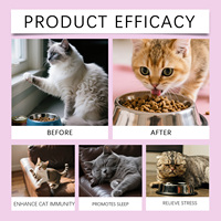 Nettoyage intestinal des animaux de compagnie, gouttes probiotiques liquides pour chats, soin gastro-intestinal complet pour chats, solution nutritionnelle, soin de la digestion, OEM