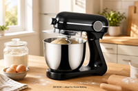Batteur sur socle électrique en fonte avec boîtier en acier inoxydable, 10 vitesses, 2000W, capacité de 8L