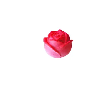 Rosa candela Silicone stampo fai da te san valentino in attesa di rosa cubetto di ghiaccio muffa