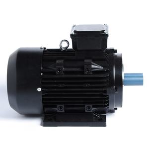 Efficienza Premium della serie IE2 2hp 3hp 10hp 15hp 20hp motore elettrico asincrono a induzione con alta velocità di alta qualità - Product Image 4