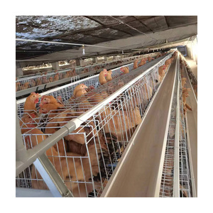<span class=keywords><strong>Cage</strong></span> de couche de qualité supérieure de Chine - Product Image 4