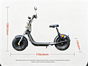 Nouveauté : Trottinette électrique personnalisable, étanche, haute vitesse, avec capteur numérique pour une utilisation tout-terrain en extérieur - Product Image 4